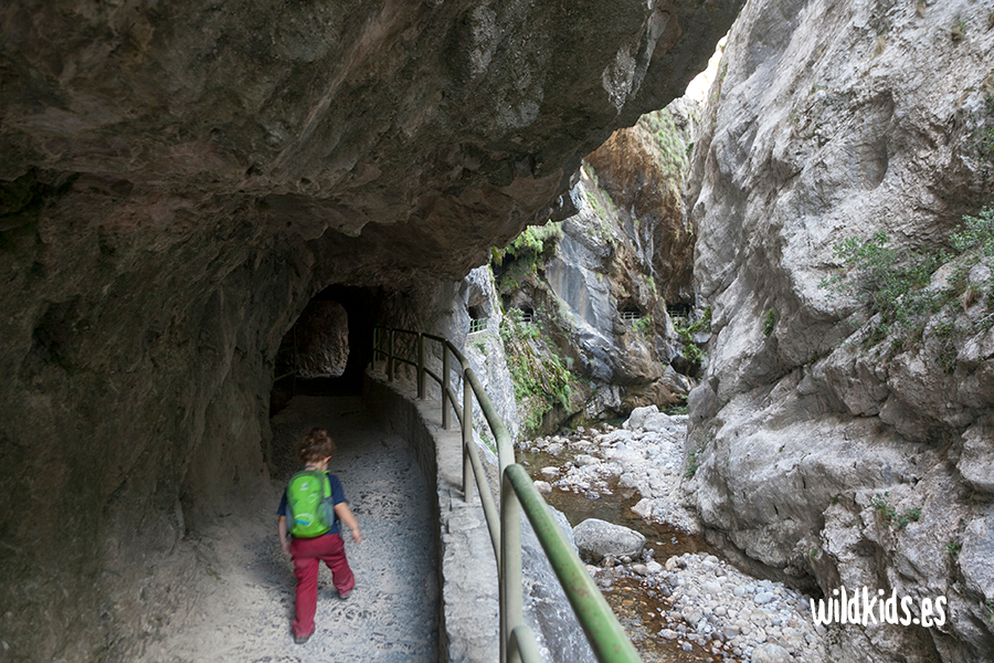 Excursión con niños en los Picos de Europa: la ruta del Cares
